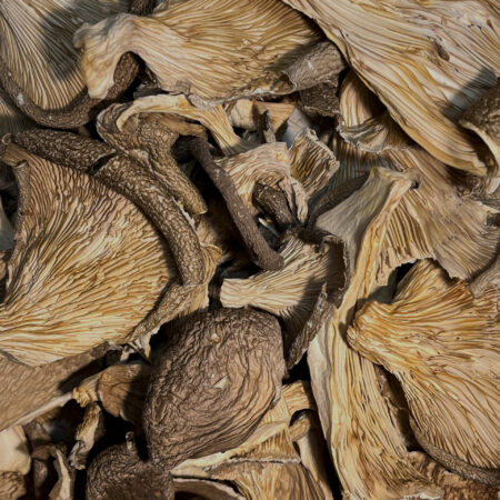 Bio Pilze getrocknet Dörrpilze getrocknet Austernseitlinge Pleurotus ostreatus