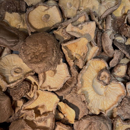 Bio Pilze getrocknet Dörrpilze getrocknet Shiitake Lentinula edodes